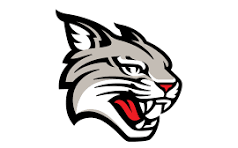 Davidson Wildcat logo